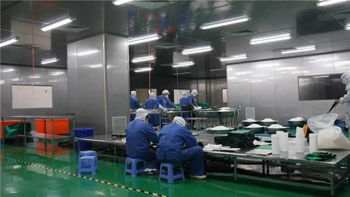 食品工厂自动化的设计与自动化设备安装全流程解析